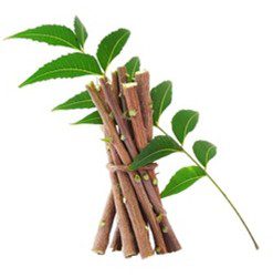Ingredient Image