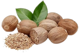 Jaiphal (Myristica fragrans) Fr.