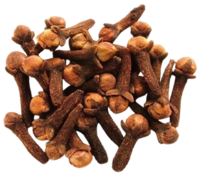 Lavang (Syzygium aromaticum) Bud