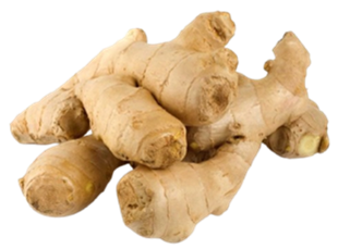Shunti (Zingiber officinale) Rz.