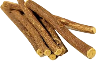 Yashtimadhu (Glycyrrhiza glabra) Rt.